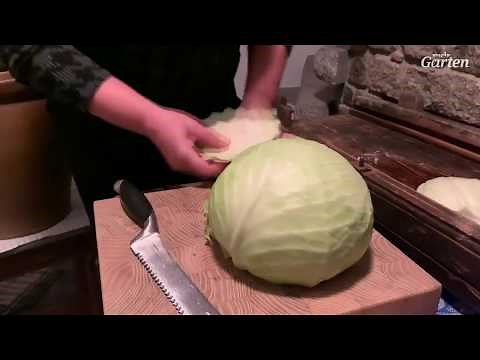 Rezept: Sauerkraut selber machen | MDR