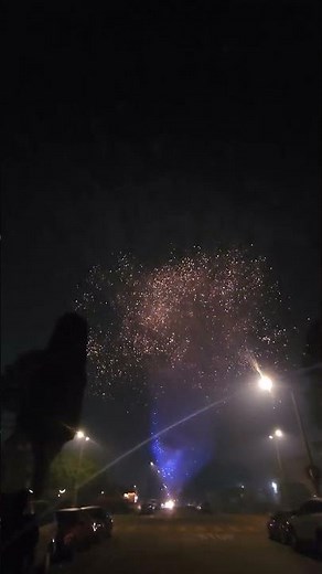 X Firework Cake (221 shots) X2 #fireworks #new #independenceday #newyear #trending #final #221 #1er