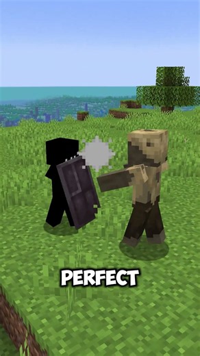 Mod Name: Guarding #minecraft #mods #pvp #pve #shield #mechanic