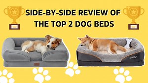 Watch Side-by-Side Review of The Top 2 Dog Beds! Which one Wins? on Amazon Live
