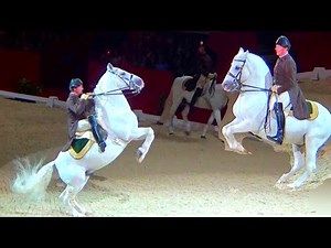 Spanish Riding School Vienna Lipizzaner Horse Performance London