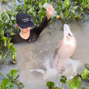 51K views · 1.2K reactions | Epic survival fish trapping skills with shark catch river monsters | Survival with Emma | Facebook