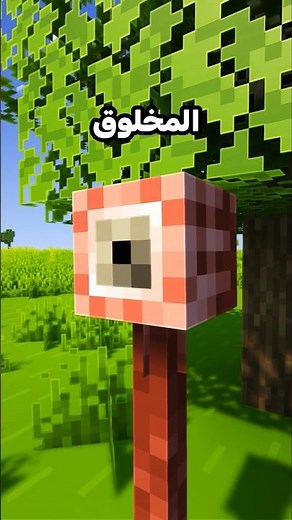 لا تقرب عل هذه العين في ماين كرافت!