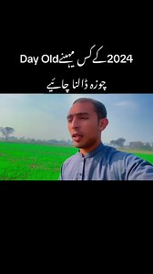 7.6K views · 281 reactions | Golden misri farming plan of 2024 | Ali Bhai | Facebook