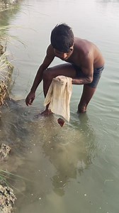 We have started hunting balm fish in the canal here #fishhunting2 #fishing #Hookfishing #Baamfishing | Fish hunting 2