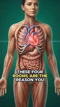 The Four Chambers: These four rooms are the reason you are alive right now