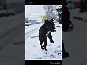 Tik Tok Microwave Ai Filter Compilation