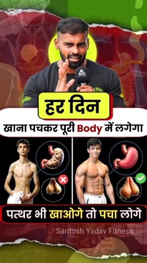 Improve Your Digestive System Naturally! 🌿 ✅ Try These Tips: 🥦 Eat fiber-rich foods 💧 Stay hydrated 🧘‍♂️ Manage stress 🚶‍♂️ Move your body daily 🔥 Save this & start feeling better today! 🔗 Follow for more health hacks! #HealthyGut #DigestiveHealth #GutHealthMatters #WellnessTips #ViralHacks #TikTokHealth