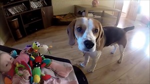 The New Baby Wouldn’t Stop Crying…But Watch How The Family Dog Quiets Her Down!