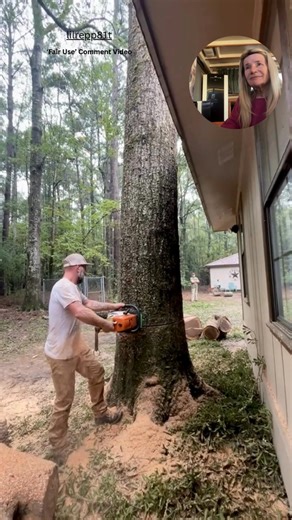 119K views · 150 reactions | Calm Competent Tree Cutter #treefelling #tree #treeremoval #contractor #knowledge | Blue Chrome Inc | Facebook