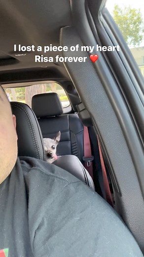Risa made me so happy for almost 17 years. She was there for me during the best of times and the worst of times. She died in my hands while I kissed her face, telling her how much I loved her. | Gabriel Iglesias