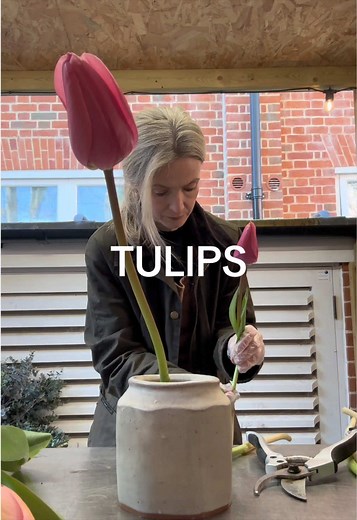Optimal Tulip Care for Fresh Workspaces