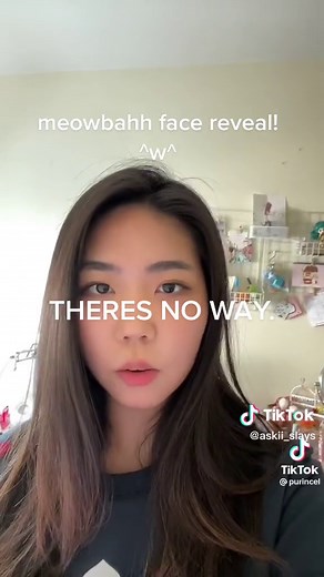 Meowbahh Face Reveal: The Truth Behind the Mask