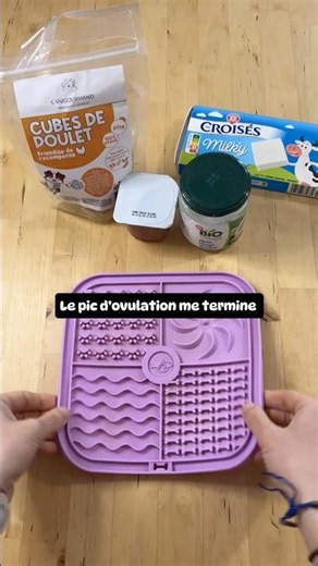 The ULTIMATE lick mat