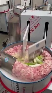 Automatic meat and vegetable chopper