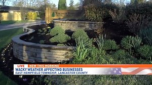 Wacky weather puts landscapers behind normal calendar