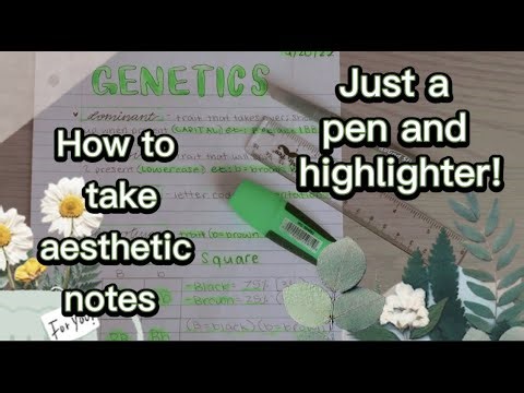 How to take aesthetic notes ~ ONLY HIGHLIGHTER AND PEN | Tutorial, steps, and tips.