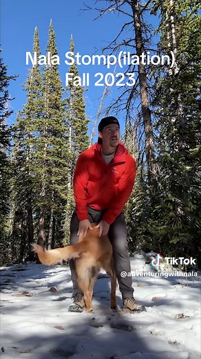 Some diverse stomps this Fall | nala stomp