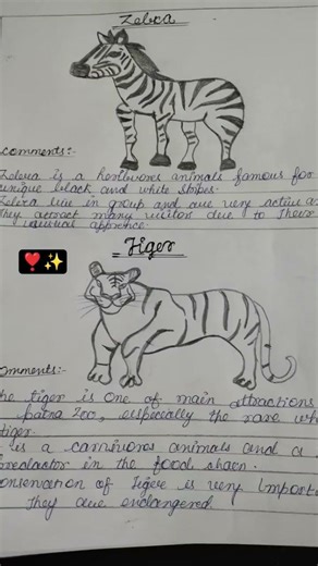 My today working day 😮‍💨 clg project 😑#shortvideo #youtubeshorts 💞