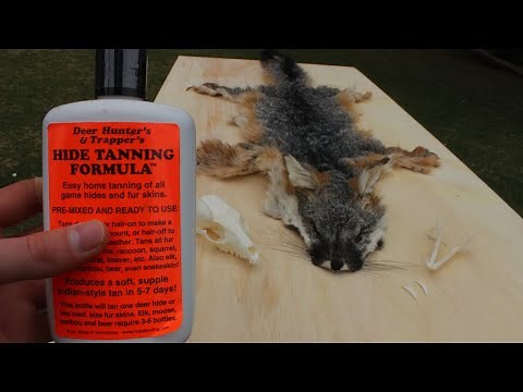 Grey Fox Fur Pelt HIDE TANNING Demo using Hunter's Tanning Formula Start to Finish