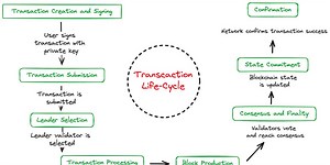 Deep Dive: Solana Validator & Fee Economics