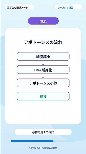 アポトーシスとネクローシスの違い｜細胞死を1分で整理 #薬学生 #薬剤師国家試験 #CBT