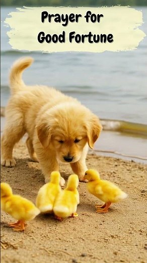 Prayer for Luck and Success 🙏🐶🦆 | Prayer for Good Fortune