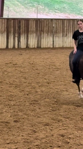 Explore Equestrian Dreams with Our Reining Horses