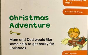 Oxford Reading Tree stage 6-10 Christmas Adventure