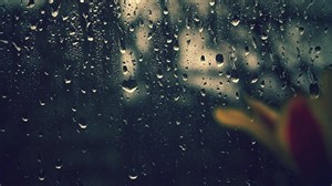 Window, Rain, Drops. Free Stock Video