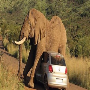 18K views · 65 reactions | So I Gave That #Itch A Scratch... Because Itch Loves #Scratches!!  | Still Unfold | Facebook