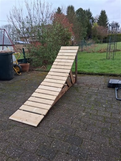 MTB Rider's Dynamic Trail Ride