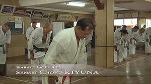 23K views · 740 reactions | Okinawan Karate | Fudoshin Shotokan Karate | Facebook