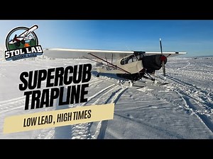 Supercub Trapline