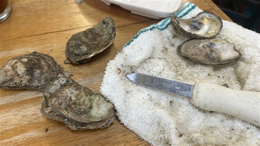 Murrells Inlet’s Oyster Roast and Bloody Mary Festival returns for 12th year