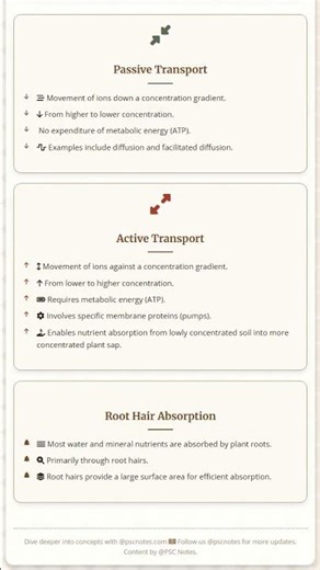 Mechanisms of Mineral Absorption: Active and passive transport