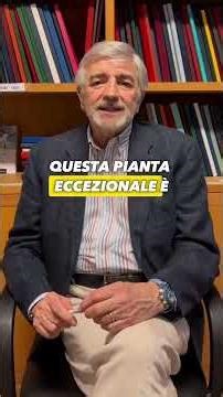 Rosmarino Digestione