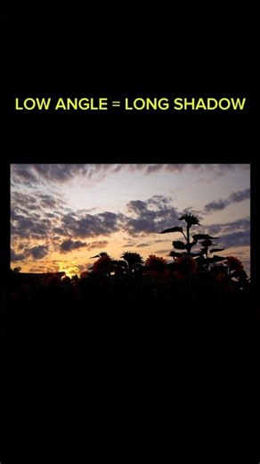 Why Your Shadow Can Be Taller Than Buildings