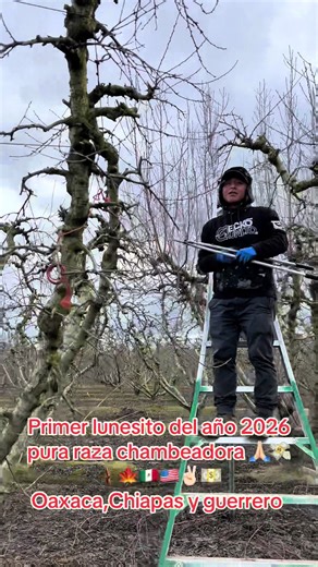 theo.santiiago17 (@theo.santiiago17)’s videos with Trompeta Belica - Aleteo Red