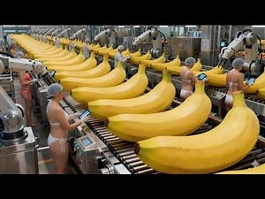 Inside a banana bread factory – An incredible automated production process