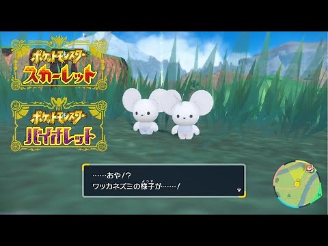 【ポケモンSV】ワッカネズミの進化方法・条件 イッカネズミ【ポケモンスカーレット・バイオレット】