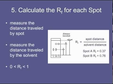 9. 5) Calculate the Rf for each Spot