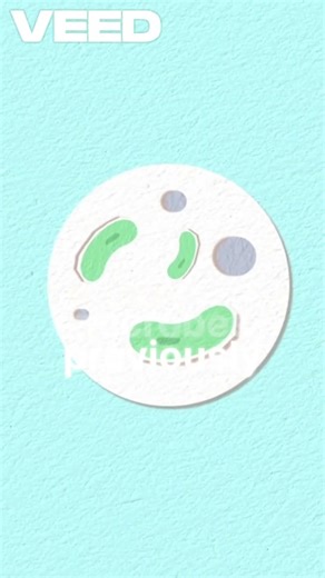 Your Belly Button Is an Ecosystem! 🦠👕