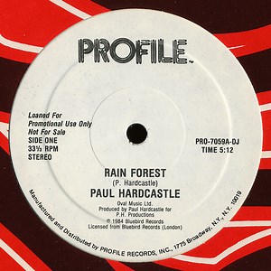 Paul Hardcastle - Rain Forest