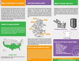Cotton in the classroom is a great educational resource