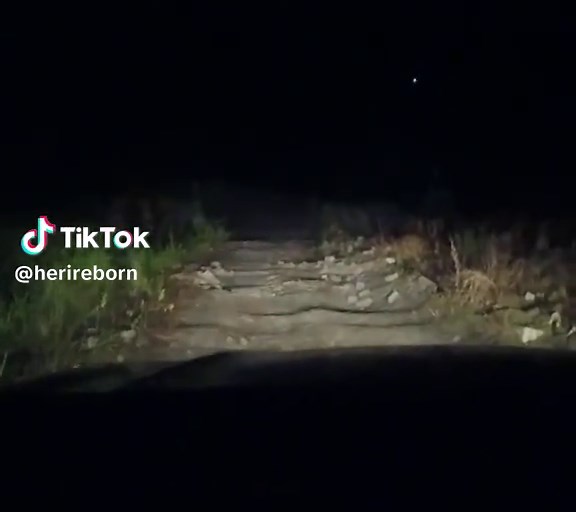 Pengin Jadi Sopir Ambulan?