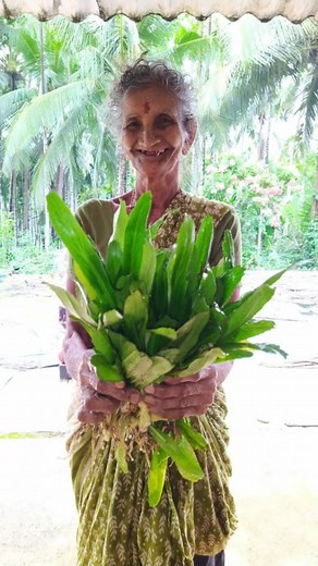 1.9K reactions · 7 comments | Ajji..Amma...Akka...Chinti殺❤️ 4 Generation 朗 | Sandhya M | Facebook