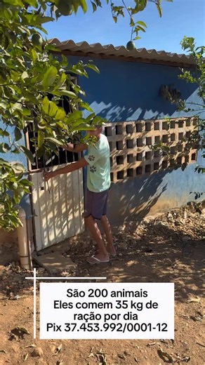 🐾 ONG DAS PATINHAS 🐾 on Instagram: "🚨 A ração acabou. São mais de 200 vidas esperando por um prato de comida todos os dias. Sentir pena não salva ninguém 👎 O que salva é ação: ➡️ doe 1 real ou até centavos ➡️ compartilhe ➡️ comente mais de três palavras para o post alcançar mais pessoas O Instagram está tentando nos calar. Nossa conta principal, com 368 mil seguidores, foi desativada e ainda não voltou. Mesmo assim, seguimos em pé. ✨ Em 2026, a ONG DAS PATINHAS completa 8 anos de existência.