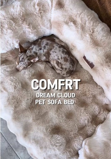 Dream Cloud Pet Sofa Bed – Washable Cozy Dog Bed (Cappuccino)