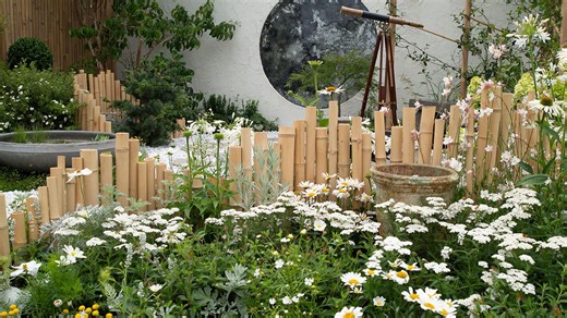 How to create a moon garden: Plants, design, and everything you need to know